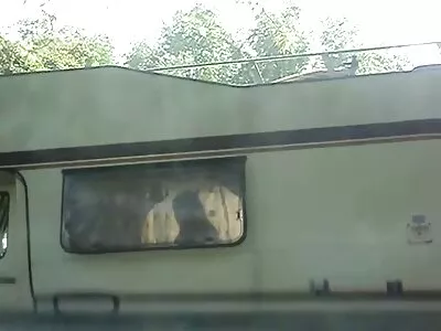 Екзотична красуня Джінебра красивий секс відео Беллуччі трахається на дивані