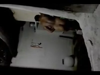 Гламурну дівчинку Еллу Різ приємно трахкають у секс відео скачати вітальні
