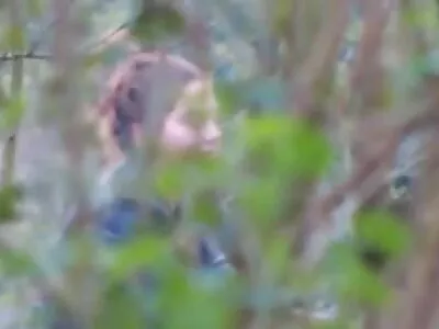Ненаситна Айві Роуз з великими сиськами займається сексом і порно відео з сюжетом отримує диплом на обличчя